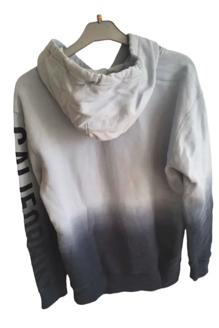 Sweat à capuche Hollister - photo numéro 2