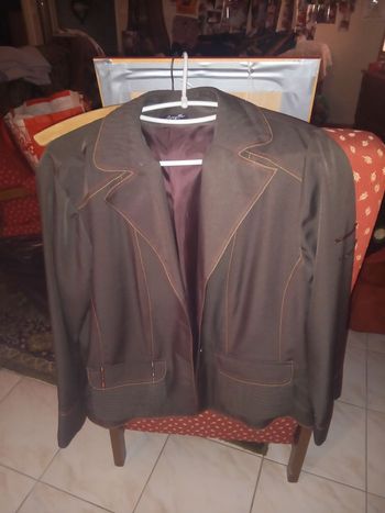 Veste Brigitte saget