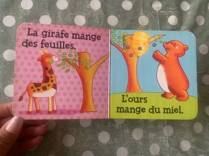Livre poignée - photo numéro 7