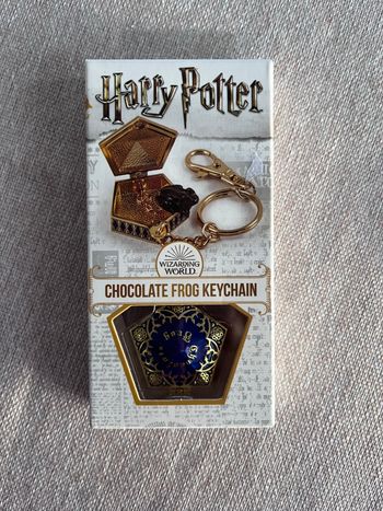 Porte clé Harry Potter