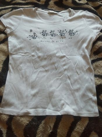 Tee-shirt vaches cache cache