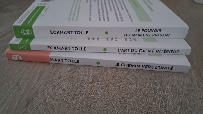 Lot de 3 livres sur le réveil spirituel de Eckhart Tolle - photo numéro 3