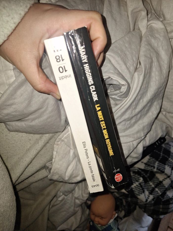 Lot 2 livres policier - photo numéro 2