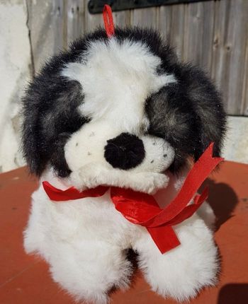 Chien
