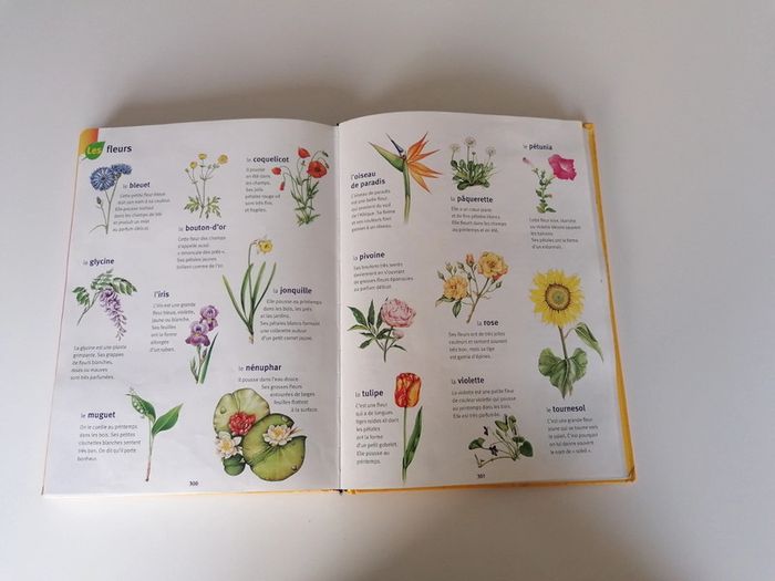 Dictionnaire Larousse maternelle 📕 - photo numéro 8