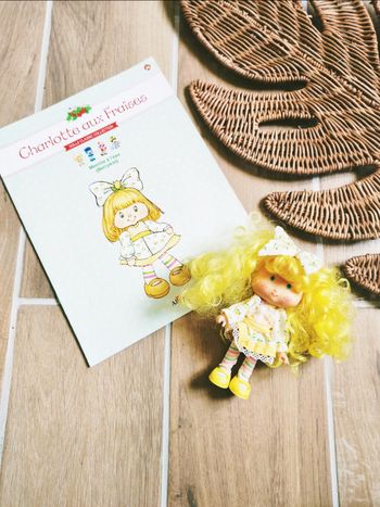 🍓Poupée Charlotte aux fraises n°28 Menthe à l'eau Berrykin avec son livret fascicule Altaya