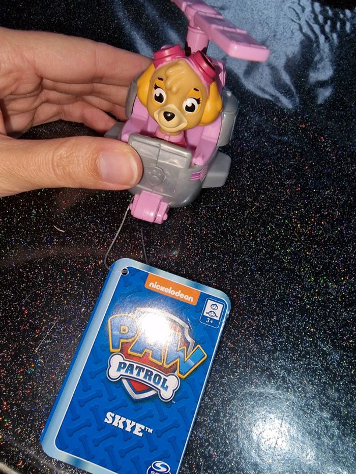 Jeu paw patrol