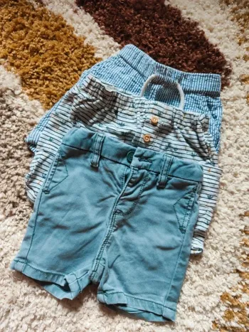 Lot 3 shorts