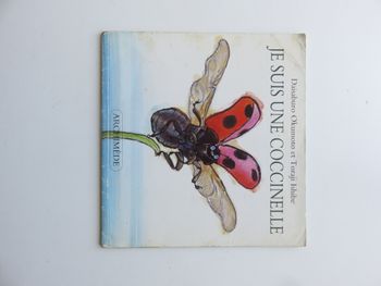 Album 2 à 4 ans : Je suis une coccinelle (école des loisirs)