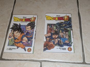 Livres dragon ball super 12 et 13