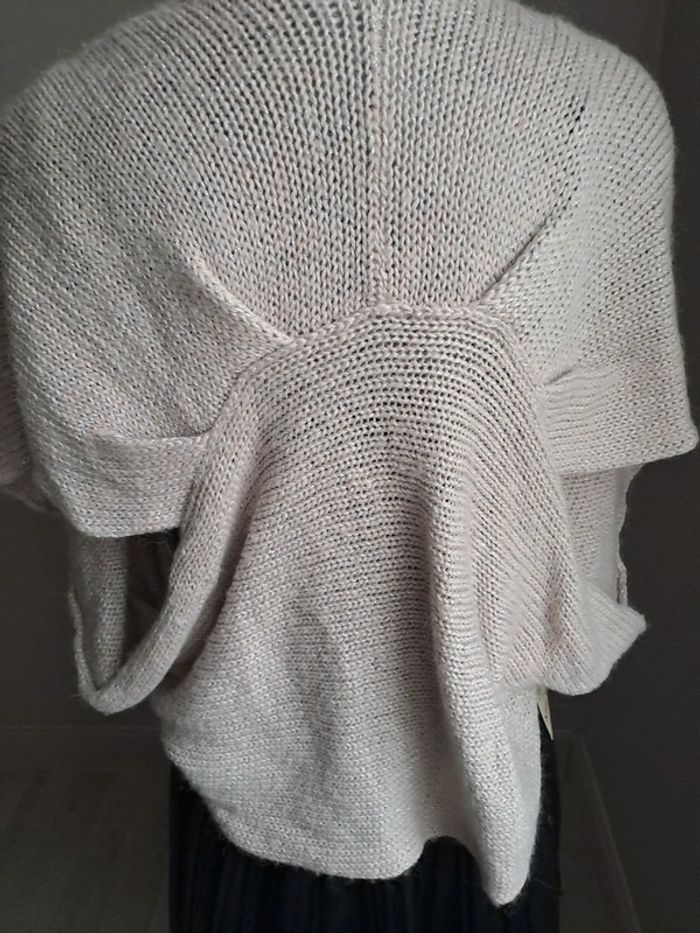 Gilet irisé - photo numéro 3