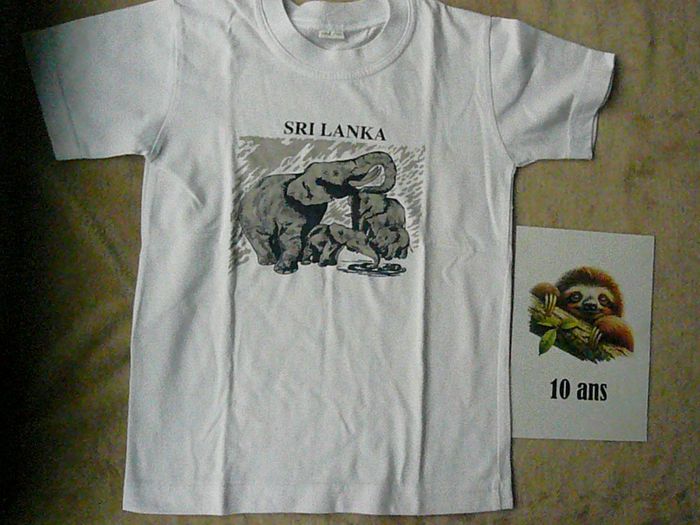 Lot de 2 tee-shirts garçon 10 ans (n°18) - photo numéro 2