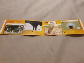 Autocollants Défis Nature Auchan