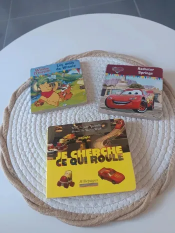 Lot livres en carton