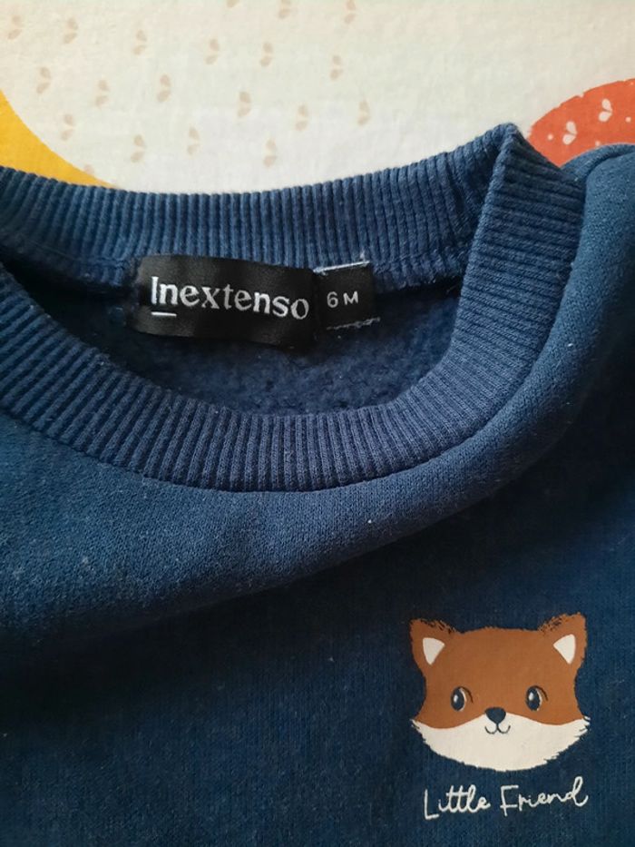 Pull renard - photo numéro 4