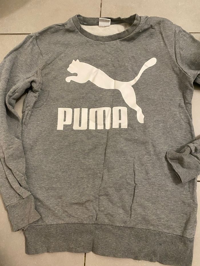 Pull Puma