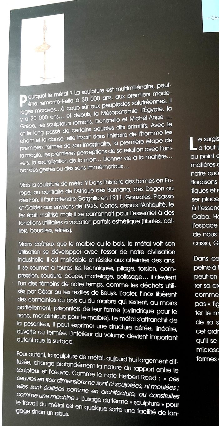 Alain Vuillemet le métal sublimé - photo numéro 6