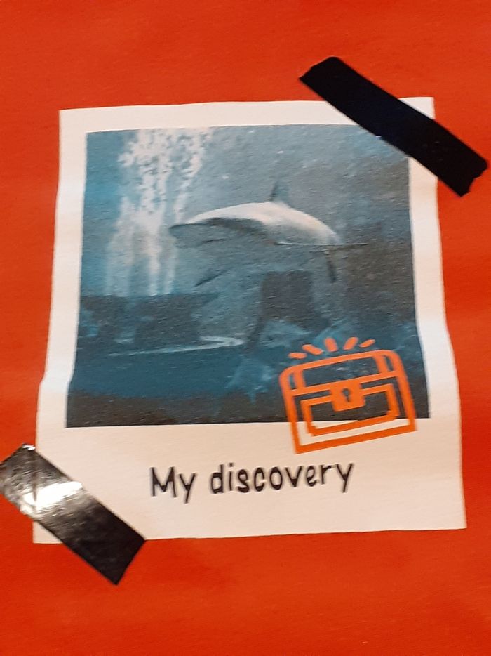 Tee-shirt manches longues 🦈 - photo numéro 2