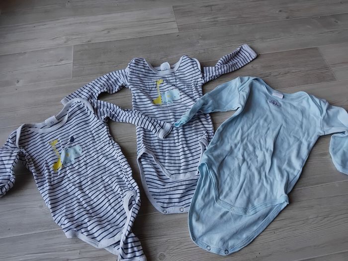 Lot 3 bodies