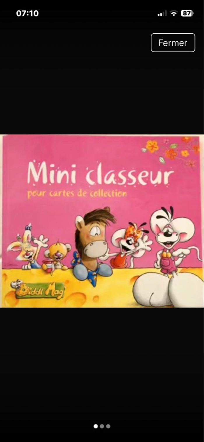 Classeur +carte Diddl