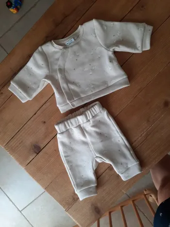 Ensemble petites oies TAO