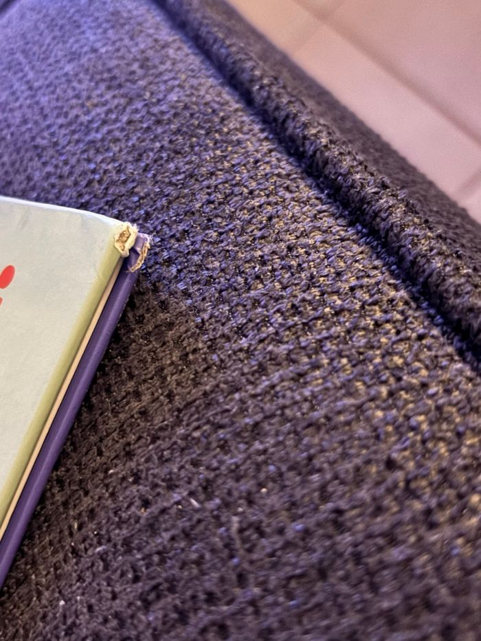 Livre tchoupi - photo numéro 3