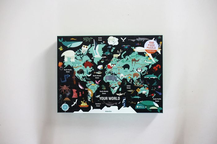 Puzzle 1000 pièces sachet neuf "Your World" Mudpuppy