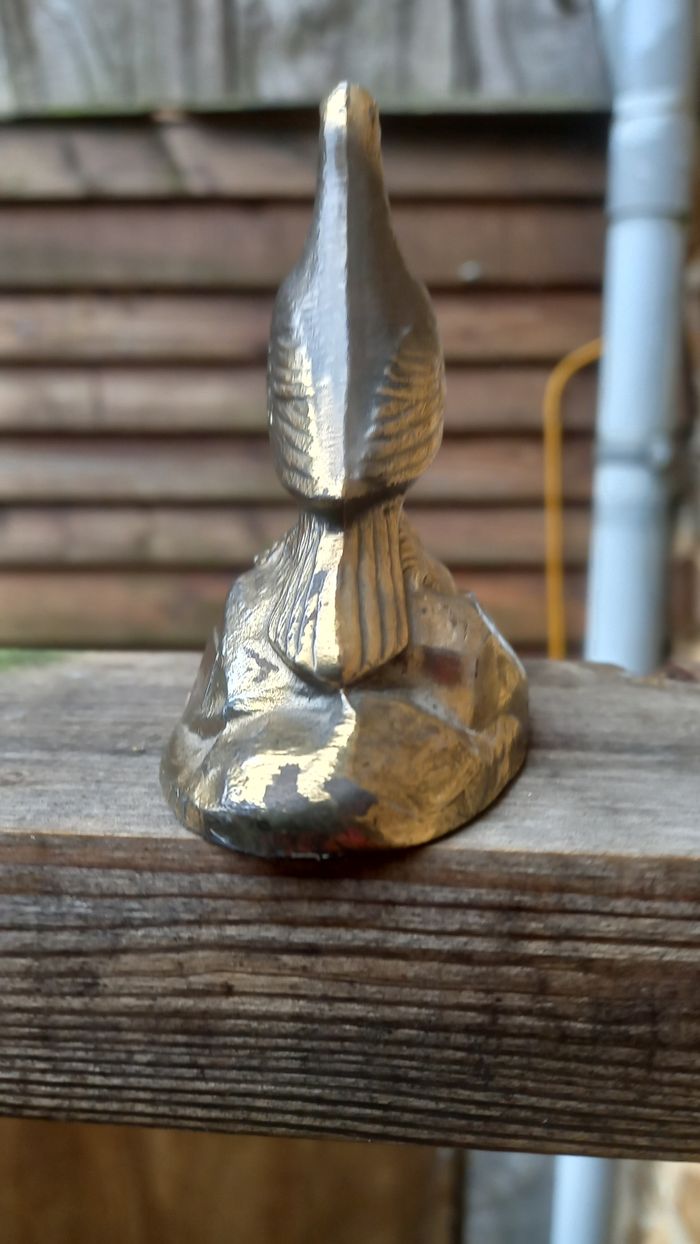 Pigeon Raynal  "Le  Vaillant" - photo numéro 3