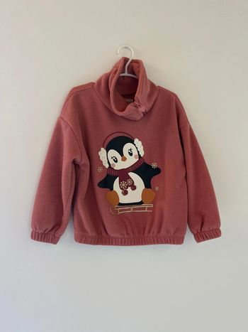 Pull polaire