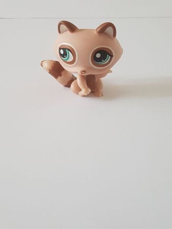 Littlest Petshop Raton Laveur