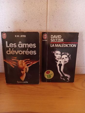 Lot de 2 romans épouvante