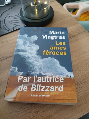 LIVRE LES AMES FEROCE DE MARIE VINGTRAS