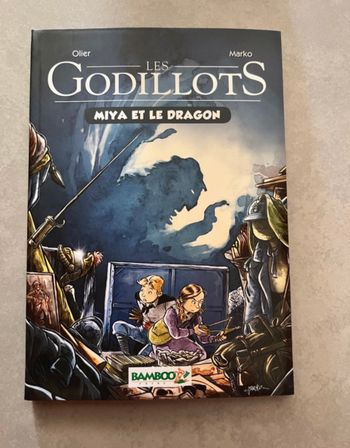 Livre les godillots tome 2