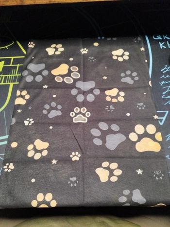 Tour documentif patte de chien et étoile enfant