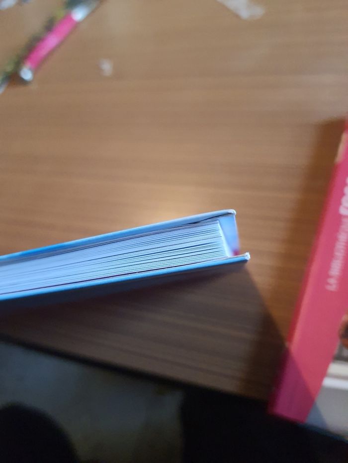 Lot de 2 livre miraculous - photo numéro 10