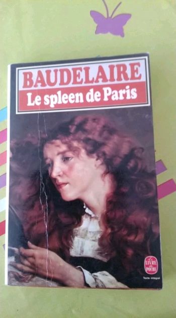 Baudelaire le spleen de Paris