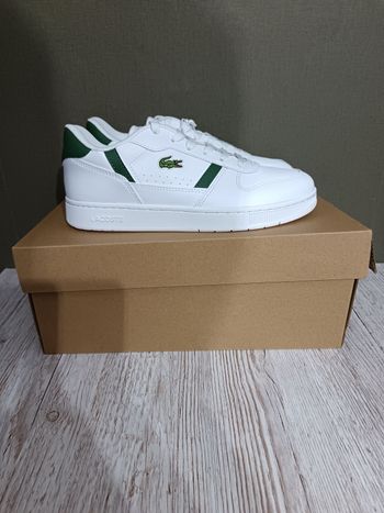 Basket Lacoste 