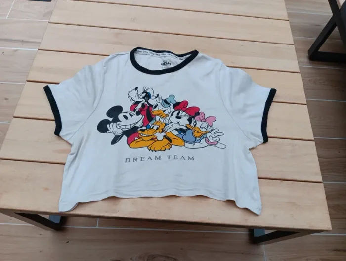 Mickey et ces amis L