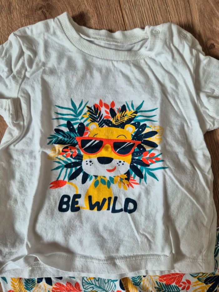 Ensemble - photo numéro 3