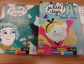 Lot livres Je lis déjà 