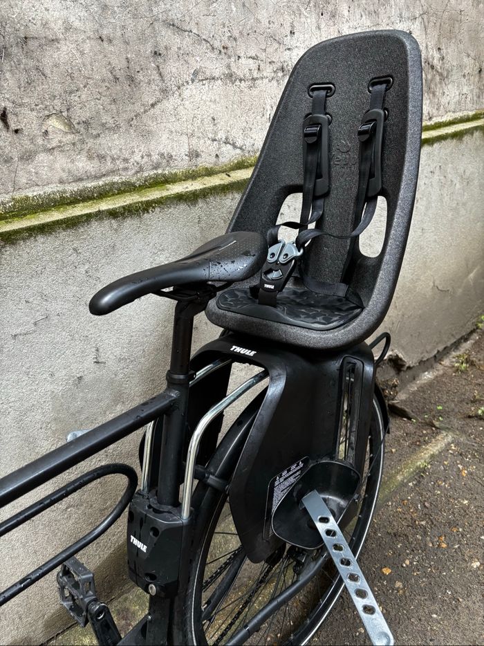 Siège vélo Thule Yepp 2 Maxi - photo numéro 2
