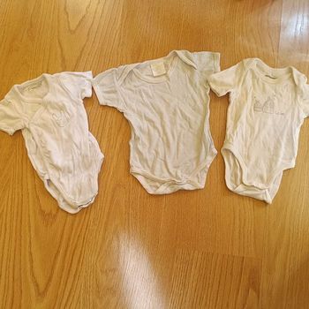 Lot bodies 3 mois mixte