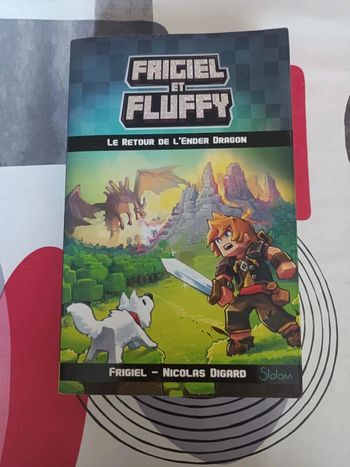 Livre Frigiel et Fluffy Tome 1 : Le retour de l'enfer dragon / Auteur : Nicolas Digard