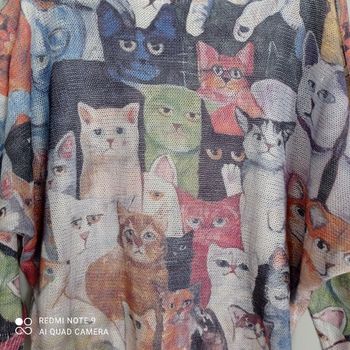 Rigolo pull chats multicolores t40/42