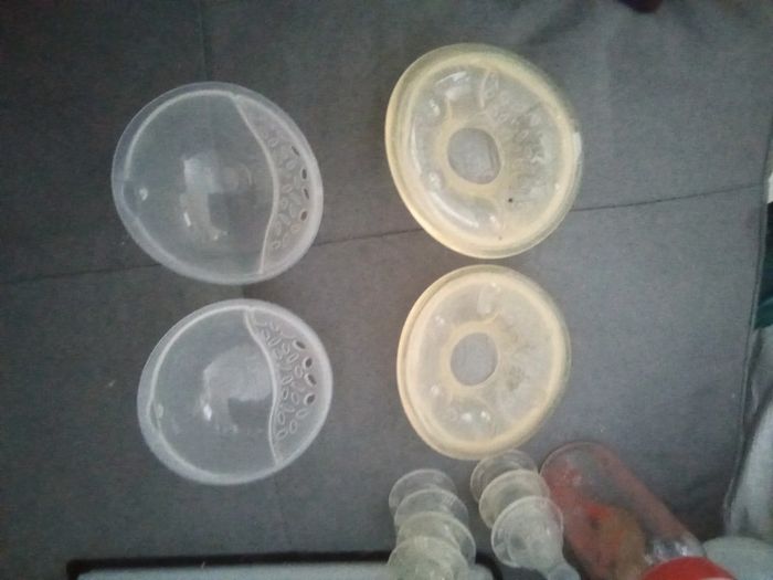 Coquille Recueil lait - photo numéro 2