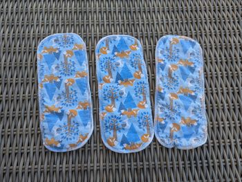 Lot de 3 boosters biscotte