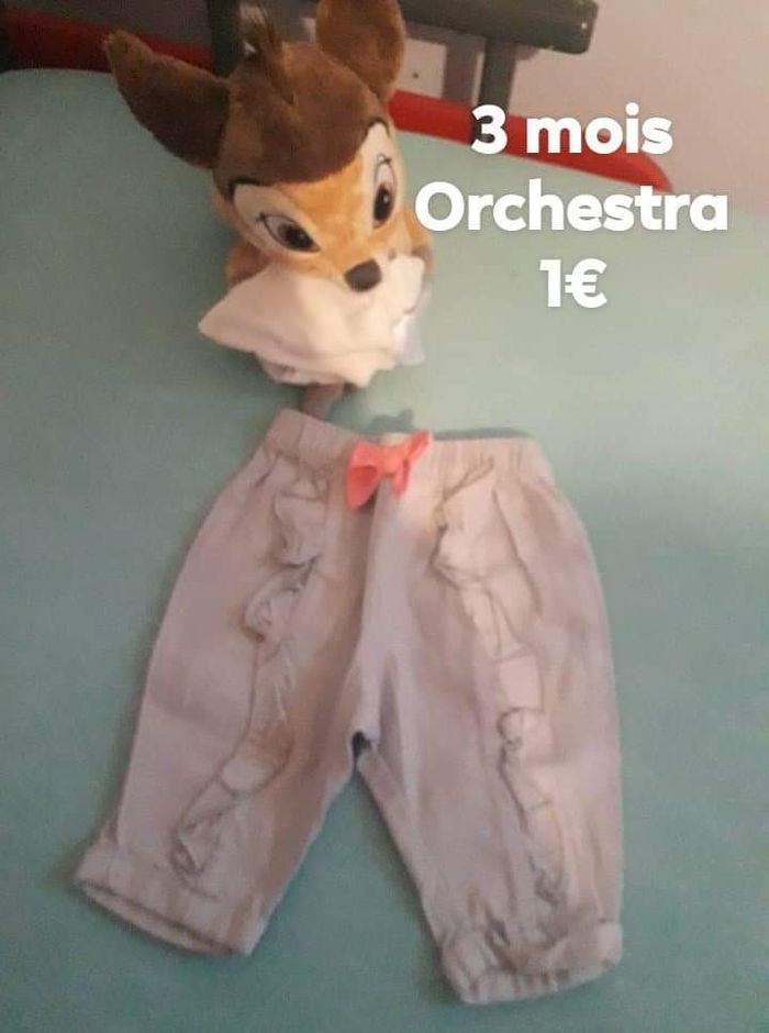 Vetements - photo numéro 6