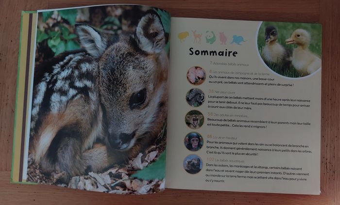 Mon grand livre des Bébés Animaux - Picolia - photo numéro 4