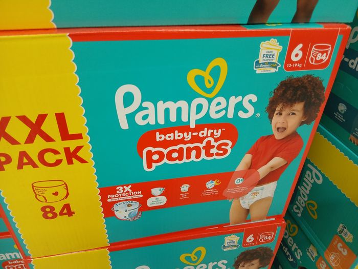 252 couches t6 pants