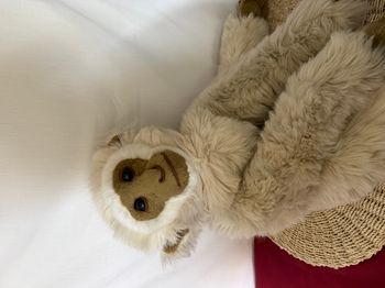 Peluche Singe Gibbon (Asie) aux nations